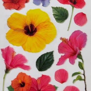 Adesivos texturizados fofos, adesivos com flores de hibisco em rosa, amarelo, laranja, roxo e folhas verdes, conjunto de adesivos de flores tropicais, 12 peças