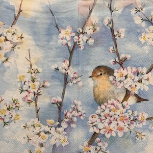 May include: A watercolor illustration of a small bird perched on a flowering branch. The bird has brown and tan feathers, and the branches are covered in white and pink blossoms against a light blue background.