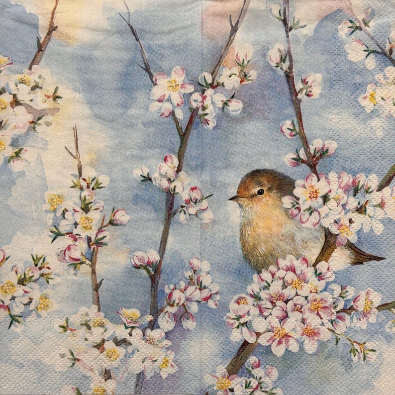 Decoupage Paper Napkin With Birds and Cherry Blossoms for Spring Crafts ...