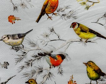Vintage Birds on Branches Decoupage Paper Napkin, 13 in – Nature-Inspired Design for DIY Crafts, Scrapbooking, Decorative Christmas Projects