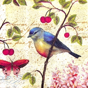 Op de afbeelding: Een decoratief papieren servet met een blauwe en gele vogel op een tak met rode kersen en groene bladeren. Een roze vlinder bevindt zich onder de vogel en een tros roze bloemen staat onderaan tegen een achtergrond met handgeschreven tekst.