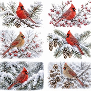 May include: A collection of six images featuring vibrant red cardinal birds perched on snow-covered branches. The birds are surrounded by pine needles, berries, and pine cones, creating a wintery scene. The cardinals are depicted in various poses, showcasing their distinctive crests and plumage.