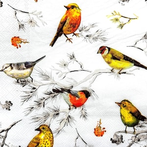 Vintage decoupage papieren servet vogels op takken, 13 inch – op de natuur geïnspireerd ontwerp voor knutselen, scrapbooking en decoratieve kerstprojecten
