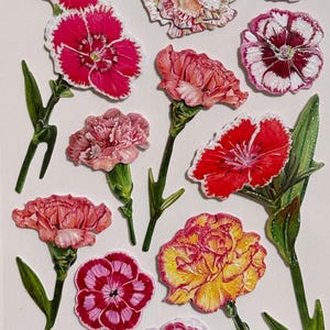 Set met 3D-anjerstickers – pop-up bloemenstickers voor scrapbooking, kaarten maken, knutselen, tijdschriften, cadeauverpakking, huisdecoratie – 12 stuks