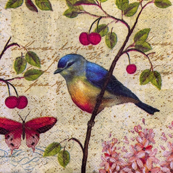 Vintage Decorative Paper Napkin with Colorful Birds, Cherries, Butterflies, and Floral Design for Decoupage, Scrapbooking, DIY Crafts 1PCS