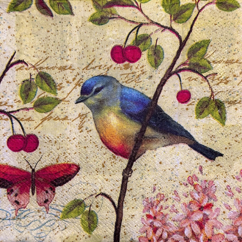 May include: A vintage-style illustration of a bluebird perched on a branch with red cherries. The background features a light brown paper texture with faded script writing and a pink flower cluster.
