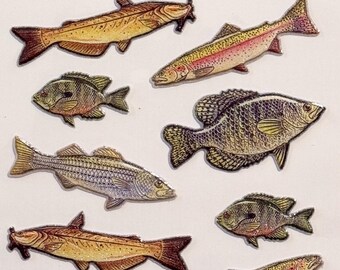 13 Stickers Set Realistic Fish Stickers for Scrapbooking Stickers With ...