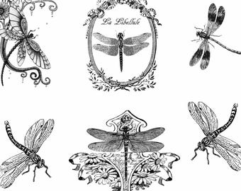 Decoupage Rice Paper Vintage Dragonfly Insect Art French Botanical Paper Or Cardstock Decoupage Crafting Projects DIY Rice Paper 7"X11"