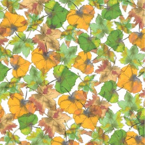 Papier artisanal Feuilles d'érable automne pour scrapbooking, fabrication de cartes et projets de bricolage - Feuille simple de 8,5 x 11 po. 27 livres pour les décorations d'automne