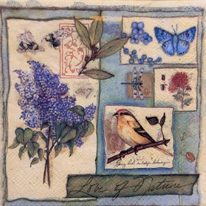 Könnte beinhalten: Eine Vintage-Illustration der Natur mit einem blauen Schmetterling, einer Libelle, einem Vogel, einem Fliederbusch und Bienen. Das Bild hat einen hellblauen Hintergrund mit einem beigefarbenen Rand und den Text "Love of Nature".