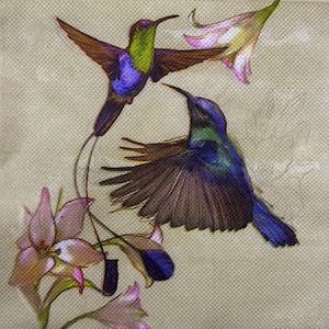 Serviette de table pour découpage colibris exotiques et fleurs roses, 33 x 33 cm, design inspiré de la nature pour travaux manuels, scrapbooking, projets décoratifs Cadeau