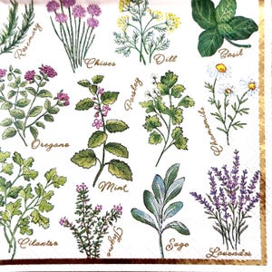 May include: A white paper napkin featuring a botanical print of various herbs and flowers including rosemary, chives, dill, basil, oregano, mint, parsley, chamomile, cilantro, thyme, sage, and lavender, each labeled with its name in gold script.