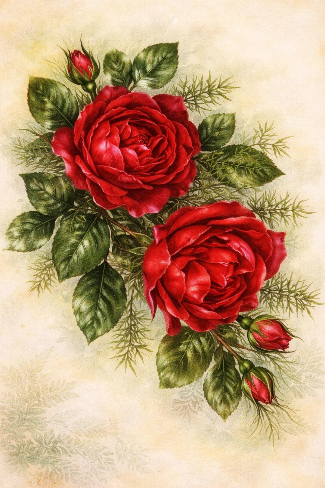 Red Rose Decoupage Rice Paper Vintage Botanical Flower Romantic Shabby ...