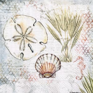 May include: A watercolor illustration featuring a sand dollar, a seashell, and palm fronds. The sand dollar is off-white with a star-like pattern. The seashell is tan and brown. The background has script and a seahorse.