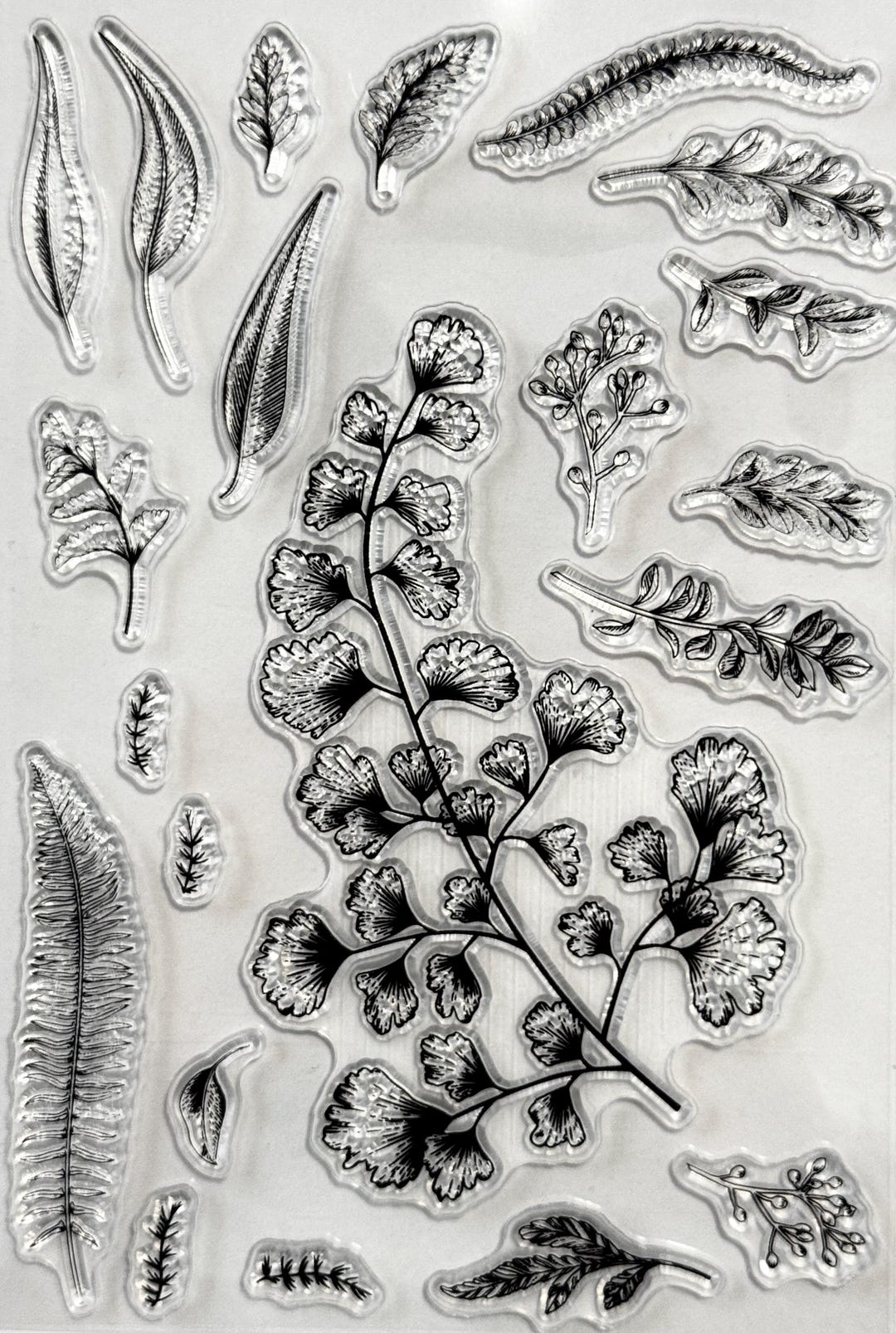 Clear Silicone Stamps, 3D Botanical Leaves and Ferns Stamp, Transparent ...