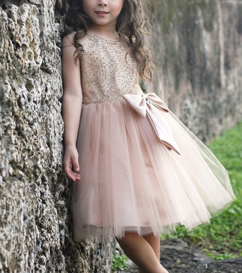 Flower Girl Flower Girl Dress,Pink Dress,FREE SHIPPING Pink Party Dress glitter Dress Pink Dress