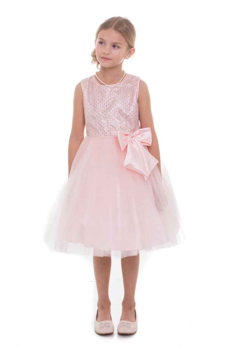 Flower Girl Flower Girl Dress,Pink Dress,FREE SHIPPING Pink Party Dress glitter Dress Pink Dress