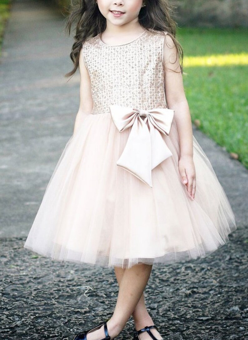 Flower Girl Flower Girl Dress,Pink Dress,FREE SHIPPING Pink Party Dress glitter Dress Pink Dress