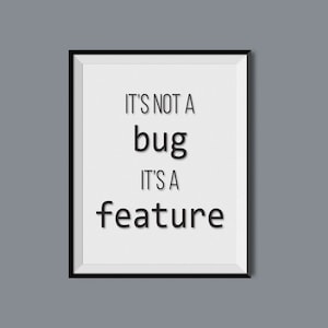 May include: Framed print with the text "IT'S NOT A bug IT'S A feature" in a black font. The print is in a black frame with a white border, set against a grey background. The text is centered and in a sans-serif font.