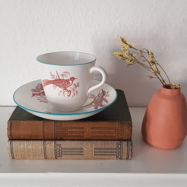 Victorian/ Edwardian Tea Cup and Saucer Set, beautiful bird illustrations, English high tea country kitchen