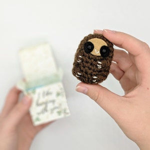 May include: A small brown crocheted owl with black eyes and a beige beak. The owl is being held in a hand.