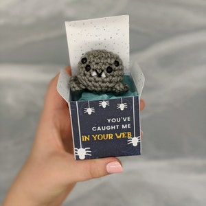 May include: A crocheted gray spider with black eyes and white fangs sits inside a small gift box. The box is dark blue with white spider illustrations and the text "YOU'VE CAUGHT ME IN YOUR WEB". The box is held in a hand.