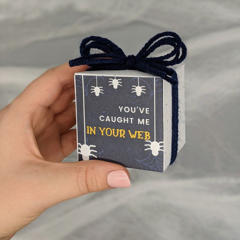 May include: A small, square gift box with a navy blue bow. The box features a dark blue background with white spider illustrations and the text "YOU'VE CAUGHT ME IN YOUR WEB" in white and gold.