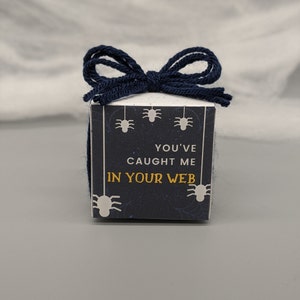 May include: A small, square gift box with a navy blue bow on top. The box is dark blue with white spider illustrations and the text "YOU'VE CAUGHT ME IN YOUR WEB" in gold and white. The box is tied with navy blue yarn.