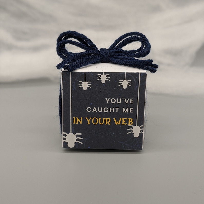 May include: A small, square gift box with a navy blue bow on top. The box is dark blue with white spider illustrations and the text "YOU'VE CAUGHT ME IN YOUR WEB" in gold and white. The box is tied with navy blue yarn.