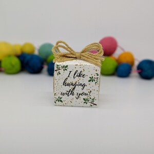 May include: A small white gift box with a gold and green design. The box has a brown twine bow and the text "I like hanging with you!" printed on the front.