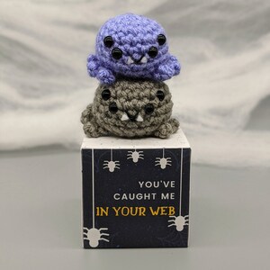 May include: Two crocheted spiders, one lavender and one gray, stacked on a box. The box has a dark blue background with white spider illustrations and the text "YOU'VE CAUGHT ME IN YOUR WEB."