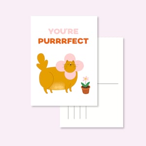 CARTOLINA GATTO / sei purrrfect ginger red cat postcrossing / onlyhappythings
