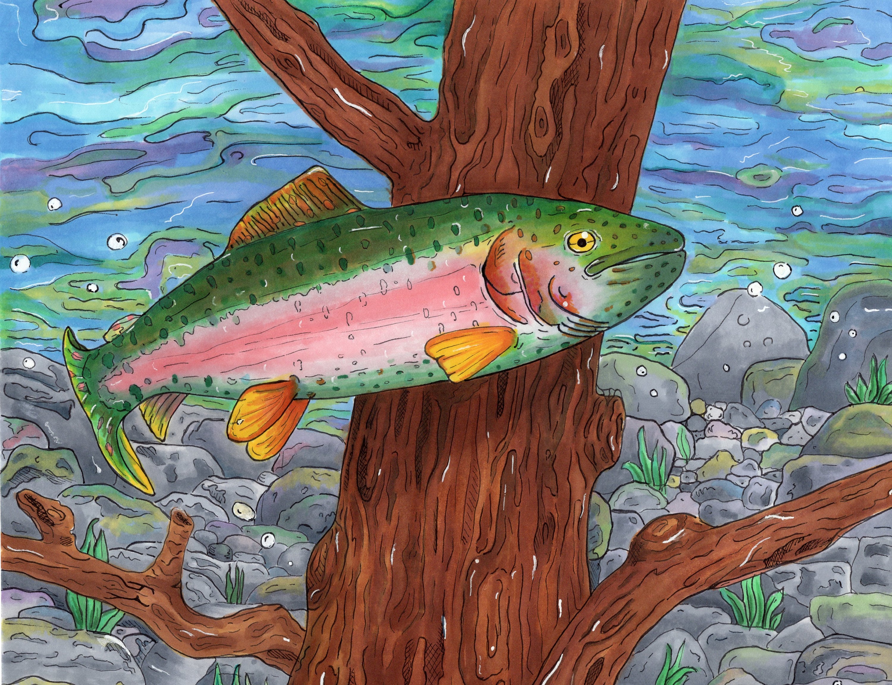 Fish Underwater Print Fish Scene Gift for Him Rainbow Trout Drawing  Fisherman 