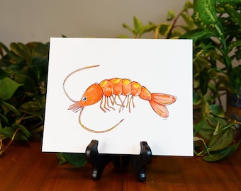 Garnelen Druck | Garnelen Illustration | Krebs Druck |