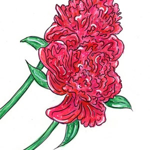 Tarjeta de felicitación de flor de peonía / Día de la madre / Tarjeta de felicitación / Regalo para ella / Flor / Impresión hecha a mano / amor / Papelería /