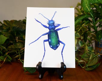 Sechsfleckiger Tigerkäfer Druck | Insekten Zeichnung | Käfer Print |