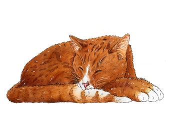Orange Katze Druck | Katzen Zeichnung | Snooze Illustration | Mittagsnickerchen |