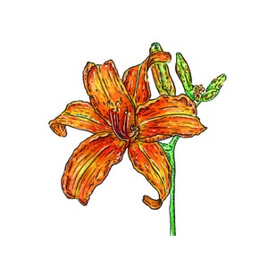 Tarjeta de felicitación de flor de lirio / Día de la madre / Tarjeta de felicitación / Regalo para ella / Flor / Impresión hecha a mano / amor / Papelería /