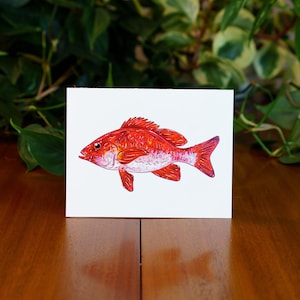 Red Snapper Greeting Card | Fishing Art | Deep Sea Fish | Gift For Him | Stationery |