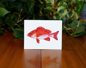 Red Snapper Grußkarte | Fischen Kunst | Tiefseefisch | Geschenk für Ihn | Schreibwaren |