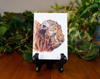 Büffel Kunstdruck | Bison Zeichnung | Küchen Kunst | Landschaft | Wildtiere |