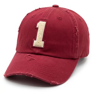 Delta Sigma Theta Chenille-keps