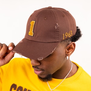 Iota Phi Theta Chenille Cap