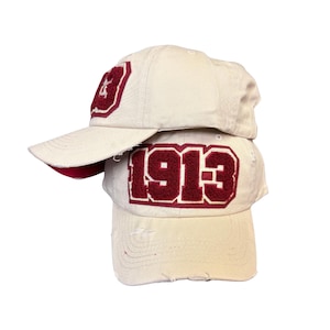 Delta Sigma Theta Baseball Hat - Etsy Canada display picture 1