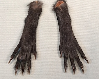 MELANISTIC SQUIRREL FEET (pair) real tanned black fur preserved animal paws, ethically & humanely sourced