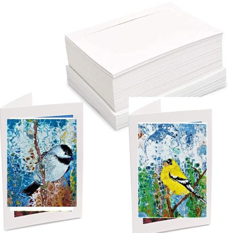 Note Card Set. 5 Bird Greeting Cards. Frame Card Set of 5 Prints of ...