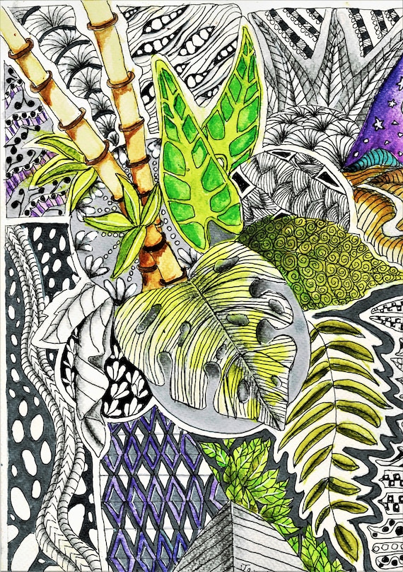 Bamboo Color Pencil Drawing