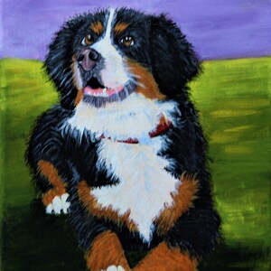 9x12 original acrylic painting portrait of a Bernese Mountain Dog  , Acrylic Painting