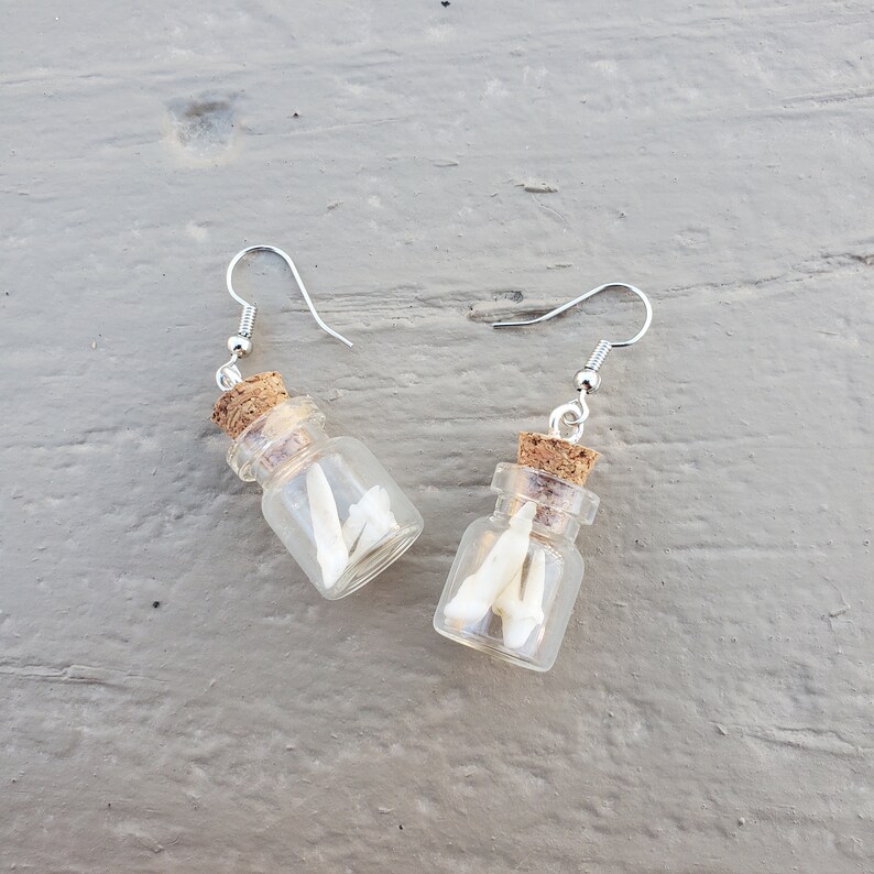 Oddities Display Jar Deer Tooth Earrings Simple and Lightweight Deer Tooth Display Jar Earrings Cute Jar Jewelry Deer Teeth Jar Earrings