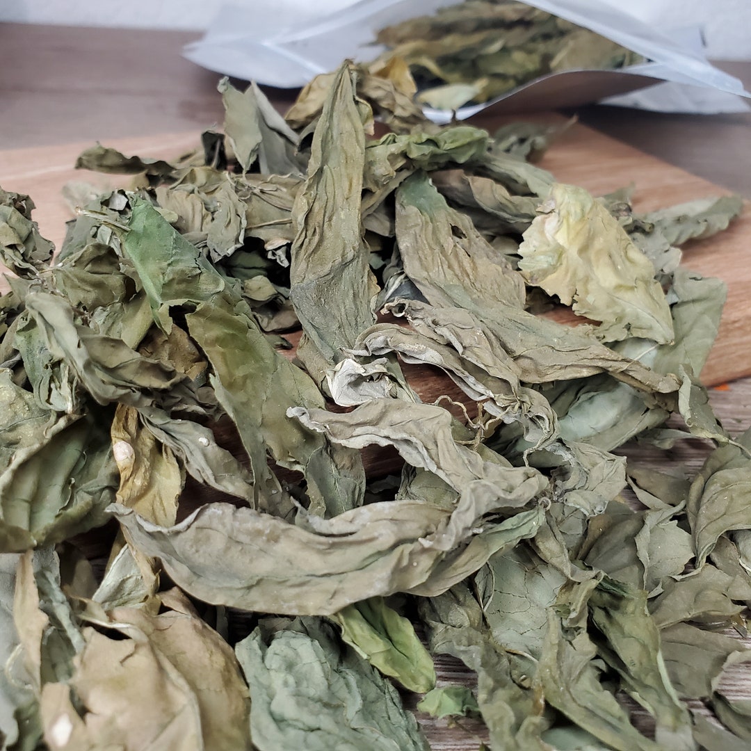 Dried Genovese Basil Dried and Preserved Herbs Dried Herbs Etsy